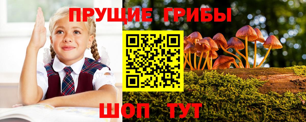 Псилоцибиновые грибы GOLDEN TEACHER Уфа
