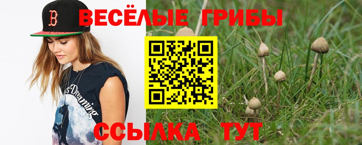 Галлюциногенные грибы ЛСД  Вход с VPN  Уфа  Галлюциногенные грибы MAGIC MUSHROOMS 
